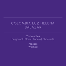 Load image into Gallery viewer, COLOMBIA LUZ HELENA SALAZAR