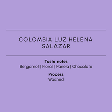 Load image into Gallery viewer, COLOMBIA LUZ HELENA SALAZAR

