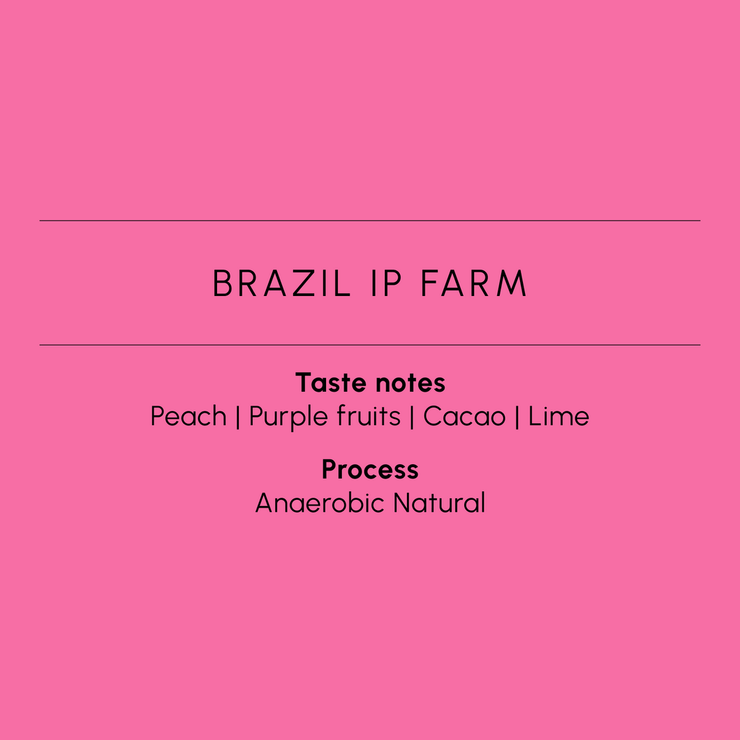 BRAZIL IP FARM