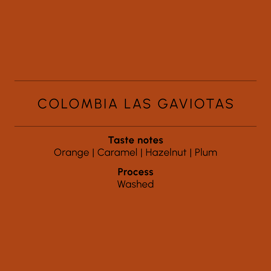 COLOMBIA LAS GAVIOTAS